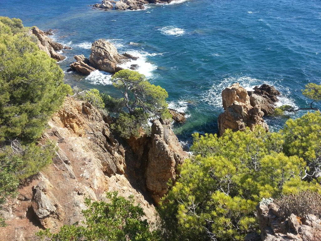 Bel Appart Style Vintage Vue Mer La Londe-les-Maures Exterior photo